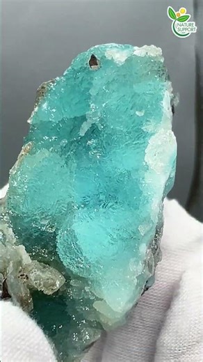 悪霊を祓う石☆ヘモミルファイト Hemimorphite【Mineral Stone】#Shorts