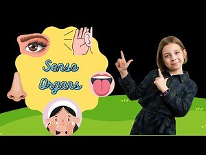 Sense Organs Video for Kids | Science for Kids