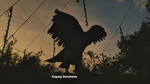 11K views · 2.6K reactions | Magbasa Para Magtagumpay Advocacy Video...