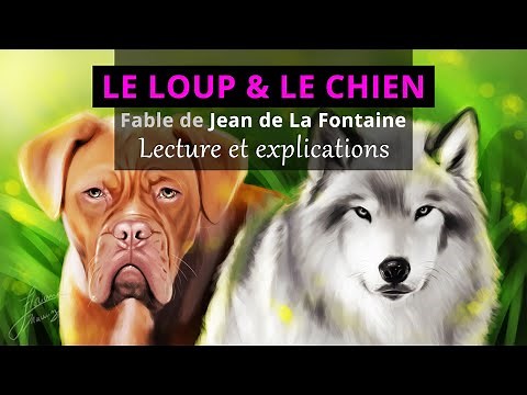 Jean de La Fontaine fable "Le loup et le chien" Lecture et explications