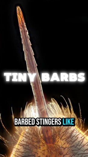 Why Bees Sacrifice Their Life to Sting You 😳🐝#shorts #viral #trending #fyp