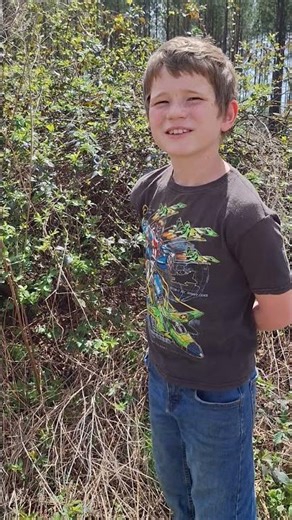 Blackberries Are Starting to Bloom