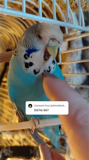 After five years of daily seizures