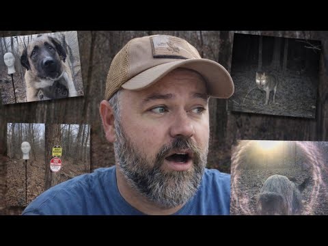 I’m At My Breaking Point With What These Cameras Are Showing