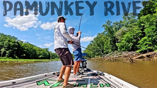 Tidal river bass fishing with flipping and frogging