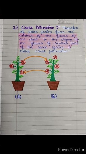 what is pollination | types of pollination | pollination and types