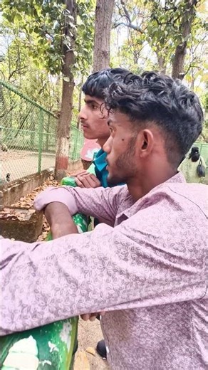 | The Short comedy video in ormanjhi zoo | #funny #laugher #team3idiots #enjoment .