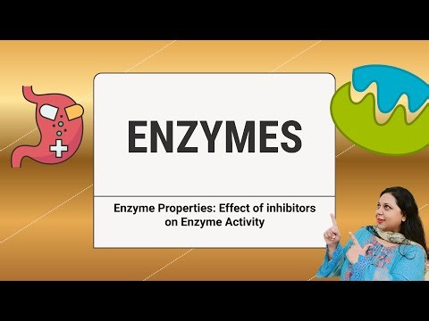 Enzyme Properties Effect of inhibitors on Enzyme Activity | IGCSE, GCSE, IB Biology