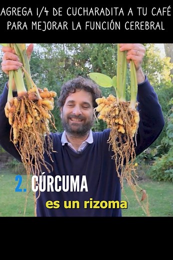 mejora tu poder cerebral | Cosas del Jardin