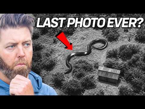 Why Nature Always Kills Its Largest Animals First