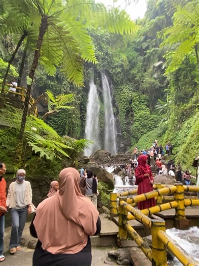 air terjun jumog #berjogawetresno #airterjunjumogreall #tarzanyez #