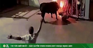 Video: Bò tót với cặp sừng rực lửa nổi điên, húc người tới chết