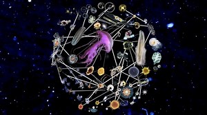 The Secret Life of Plankton
