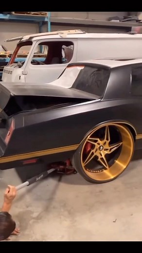 Matte Monte Carlo SS 🔥🔥🔥🔥🔥 | Whippotion