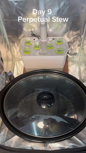 Zaq Makes on Instagram: "#perpetualstew #foreversoup #soup #stew #lazycooking"