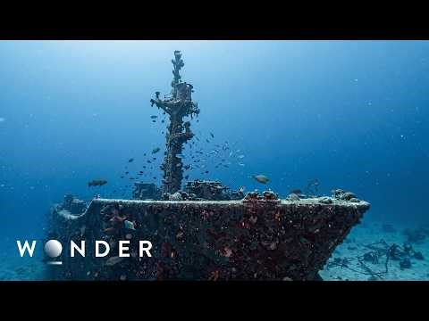 1,500 Dead: The Untold Story of The Titanic
