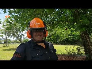 Stihl Pole Pruner HT 56 C E Available at STIHL Cairns and Innisfail