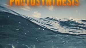 284K views · 11K reactions | Point Nemo The Loneliest Spot on Earth #zemtv | Zem TV Official | Facebook