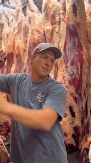 Royal Ranch Suet = Royal Tallow | Royal Family Farming