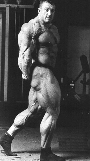 Dorian Yates on Instagram: "First in for triceps, cable pushdowns! After a brief rest after hitting delts and traps, it was time for triceps. I usually performed 2 or 3 direct exercises and would typically start with a cable pushdown. Always using either a straight or curved bar - I don’t think I ever used a rope to be honest. Anyway, I would do 1-2 warm ups just to get everything firing up again, before my one working set to failure with an assisted rep or two. Another thing to note, I always p