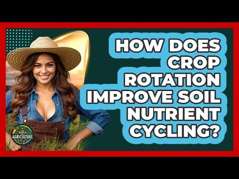 How Does Crop Rotation Improve Soil Nutrient Cycling? - The World of Agriculture