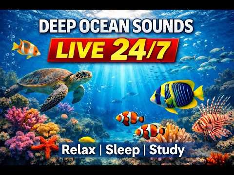 🌊 Ocean Waves Live 24/7 | Deep Ocean Sounds for Sleep, Study & Relax (Black Screen)