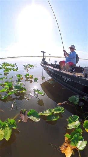 Bringin' Em to the Light... #fishing #shellcracker #shellcrackerfishing #blugill fishing, #bluegill,