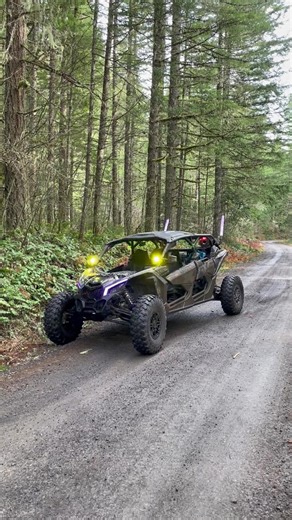 Dominican Party Vibes with Strobe Lights