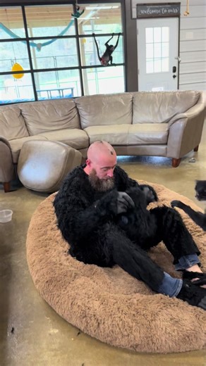 Funny Monkey Clips: Hilarious Moments Captured