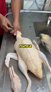 4.5M views · 46K reactions | Datos extraños  #hechoscuriosos #hechos #datos #curiosidades #datoscuriosos #videosatisfacto | Mente maestra | Facebook