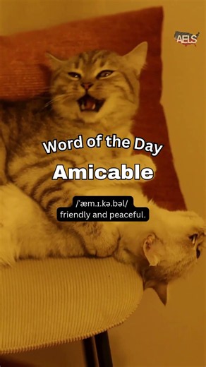 Word of the Day: Amicable - American English Language School