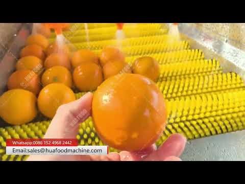 Industrial Orange Fruit Washing Machine with Air Bubble & Brush