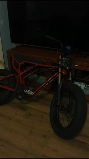 Bike in the Living Room: Ridstar Q20 E‑Bike Showcase