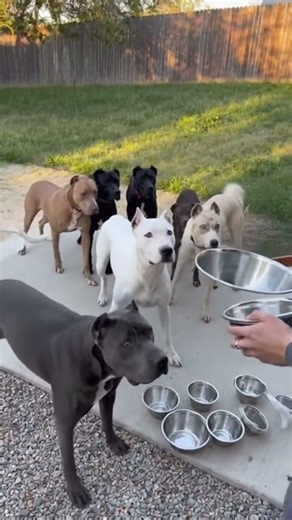 Seven Names, One First Bite: Who Wins Feeding Time? #Food #Challenge