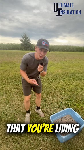 You could be living under a litterbox… If your attic is full of mouse or bat poop, that’s exactly what’s happening. 👉 Free Attic Health Check | Ultimate Insulation