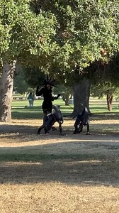 Walk in the Park #xenomorph | Xenomorph Fanspage