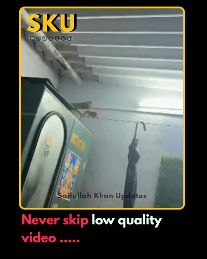 Saifullah Khan Updates on Instagram: "Never skip low quality video 🐀😂 Disclaimer: This video is sourced online and belongs to its original creator. We do not claim ownership. It is shared in an edited form for informational and appreciation purposes only. If you are the content owner and wish for removal, please contact us. We respect copyright laws and Meta, YouTube, and TikTok community guidelines. #raat #funnymoments"