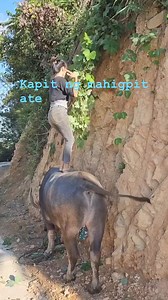 49 reactions · 70 comments | #funnyprank #funnyvideo #funnyvideosclips #followers @highlight #teampemie #pemiecharity | Pemie Moncillo Busto | Facebook