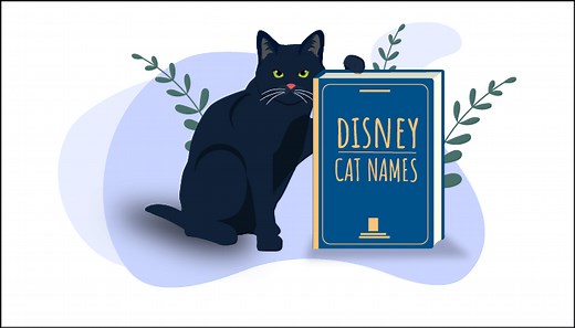 : 100 nombres de gatos de Disney más populares- Tienda para Gatos Mx