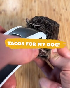 32K views · 41 reactions | My dog only eats McDonalds  | Cooking Wild | Facebook