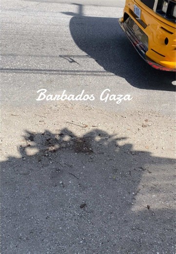 Exploring Barbados Minibus Culture and Journeys