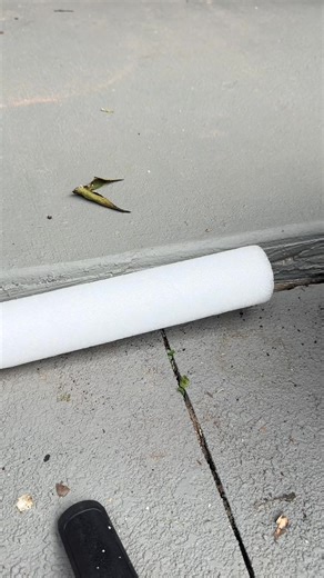 1.9K views · 52 reactions | Replying to jkj23290 POOL NOODLE CONCRETE REPAIR #CraftingMadeEasy #TransformYourSpace #SmartDIYHacks #WeekendCraftIdeas #SimpleButStunning #DIYInspirationDaily #HomeMadeWithLove #FromTrashToTreasure | Selvin Martinz | Facebook