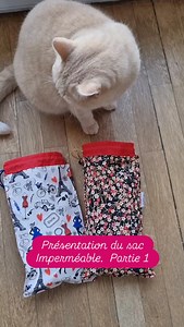 45 reactions · 13 comments | Merci pour vos réactions hier ! En voici...