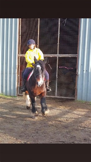 If only we could turn back time as far as it passes us. Missed these times this year along with many family members that have been taken from us. But ha we will miss them again next year. 2025 is nearly over let's hope 2026 brings all our dreams together. Have a safe one guys x | Helen Pearson