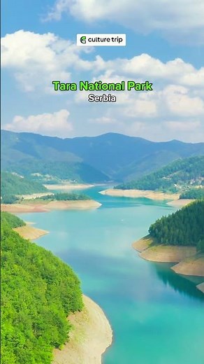 Tara National Park in Serbia 🌲🇷🇸✨ #culturetrip