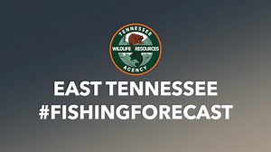April 9, 2021 - East Tennessee Fishing Forecast NEW #FishingForecast from the TWRA. Keep an eye out for these fishing forecasts each week or so. We have teamed up with guides and avid fishermen to bring you the latest on what is biting across the state. Thanks to Scott Bunch for helping with this week's report. Crappie USA Tournament Trail #tnwildlife #gooutdoorstennessee #gooutdoors #fishing #bass #catfish #crappie #hooked #tightlines #gofishing | Tennessee Wildlife Resources Agency