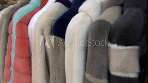 Different models of fur coats hang on hangers in a row. HD video
