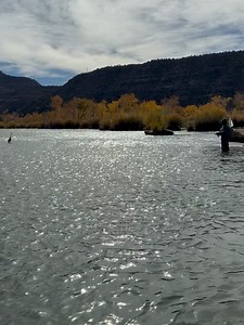 Mountain Hideaway on Reels