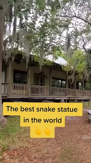 The best snake statue in the world#😲😲😲😲 #animals #snake #statue #animalsoftiktok #animals #fyp #fypシ゚viral