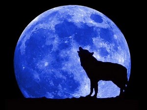 Trance Allstars - Moonlight Shadow Remix